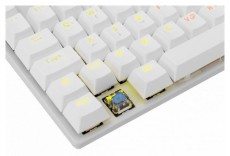 White Shark COMMANDOS GK-2106W/BL-HU feh&eacute;r mechanikus magyar (blue switch) gamer billentyűzet Iroda &eacute;s sz&aacute;m&iacute;t&aacute;stechnika - Billentyűzet / billentyűzet szett - Vezet&eacute;kes - 455877