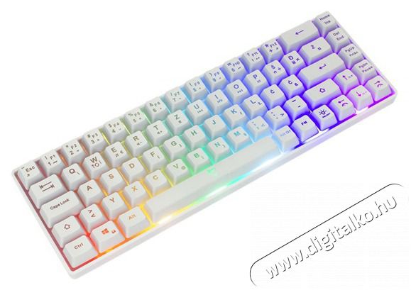 White Shark GK-2201W-US RONIN-W feh&eacute;r membr&aacute;n gamer billentyűzet Iroda &eacute;s sz&aacute;m&iacute;t&aacute;stechnika - Billentyűzet / billentyűzet szett - Vezet&eacute;kes - 456609
