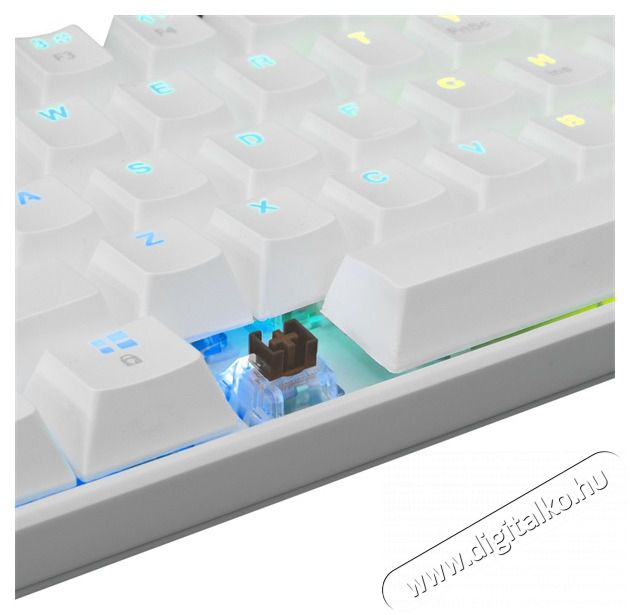 White Shark SHINOBI GK-2022W/BR-US feh&eacute;r mechanikus gamer billentyűzet Iroda &eacute;s sz&aacute;m&iacute;t&aacute;stechnika - Billentyűzet / billentyűzet szett - Vezet&eacute;k n&eacute;lk&uuml;li - 463287