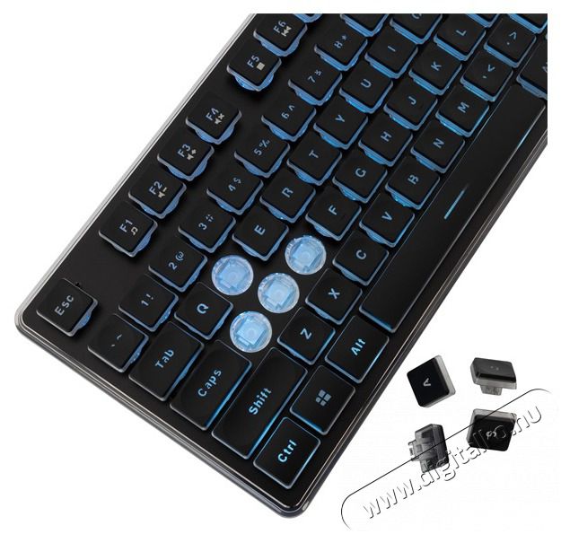 White Shark GK-003141B-US Tachi US fekete gamer billentyűzet Iroda &eacute;s sz&aacute;m&iacute;t&aacute;stechnika - Billentyűzet / billentyűzet szett - Vezet&eacute;kes - 506977