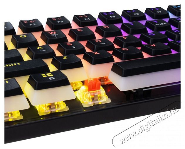 White Shark GK-2202-2B/R-US Ashiko 2 US fekete (red switch) gamer billentyűzet Iroda &eacute;s sz&aacute;m&iacute;t&aacute;stechnika - Billentyűzet / billentyűzet szett - Vezet&eacute;kes - 507091