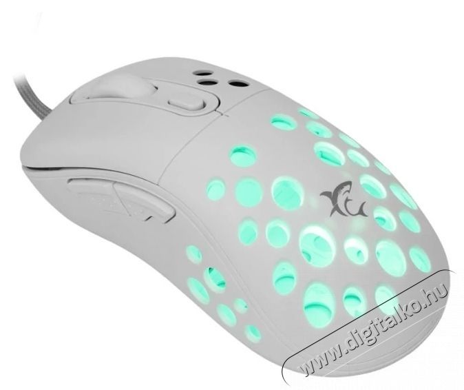 White Shark AZRAEL GM-5013W feh&eacute;r gamer eg&eacute;r Iroda &eacute;s sz&aacute;m&iacute;t&aacute;stechnika - Eg&eacute;r - Vezet&eacute;kes eg&eacute;r - 497969