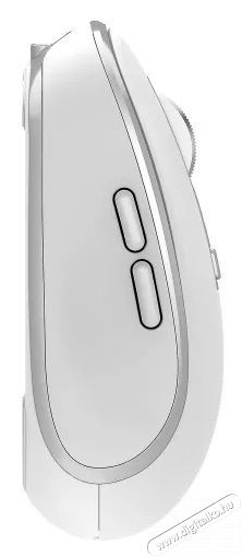 Yenkee YMS 2085WE Dual WL mouse NOBLE Iroda &eacute;s sz&aacute;m&iacute;t&aacute;stechnika - Eg&eacute;r - Vezet&eacute;k n&eacute;lk&uuml;li eg&eacute;r - 403802