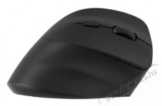 Yenkee YMS 5060R Vertical ergo moue WL ergon&oacute;mikus vezet&eacute;k n&eacute;lk&uuml;li f&uuml;ggőleges eg&eacute;r Iroda &eacute;s sz&aacute;m&iacute;t&aacute;stechnika - Eg&eacute;r - Vezet&eacute;kes eg&eacute;r - 499604