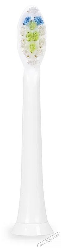 Zelmer ZTB8010W Elektromos fogkefe Sz&eacute;ps&eacute;g&aacute;pol&aacute;s / Eg&eacute;szs&eacute;g - Sz&aacute;j / fog &aacute;pol&aacute;s - Elektromos fogkefe - 526715